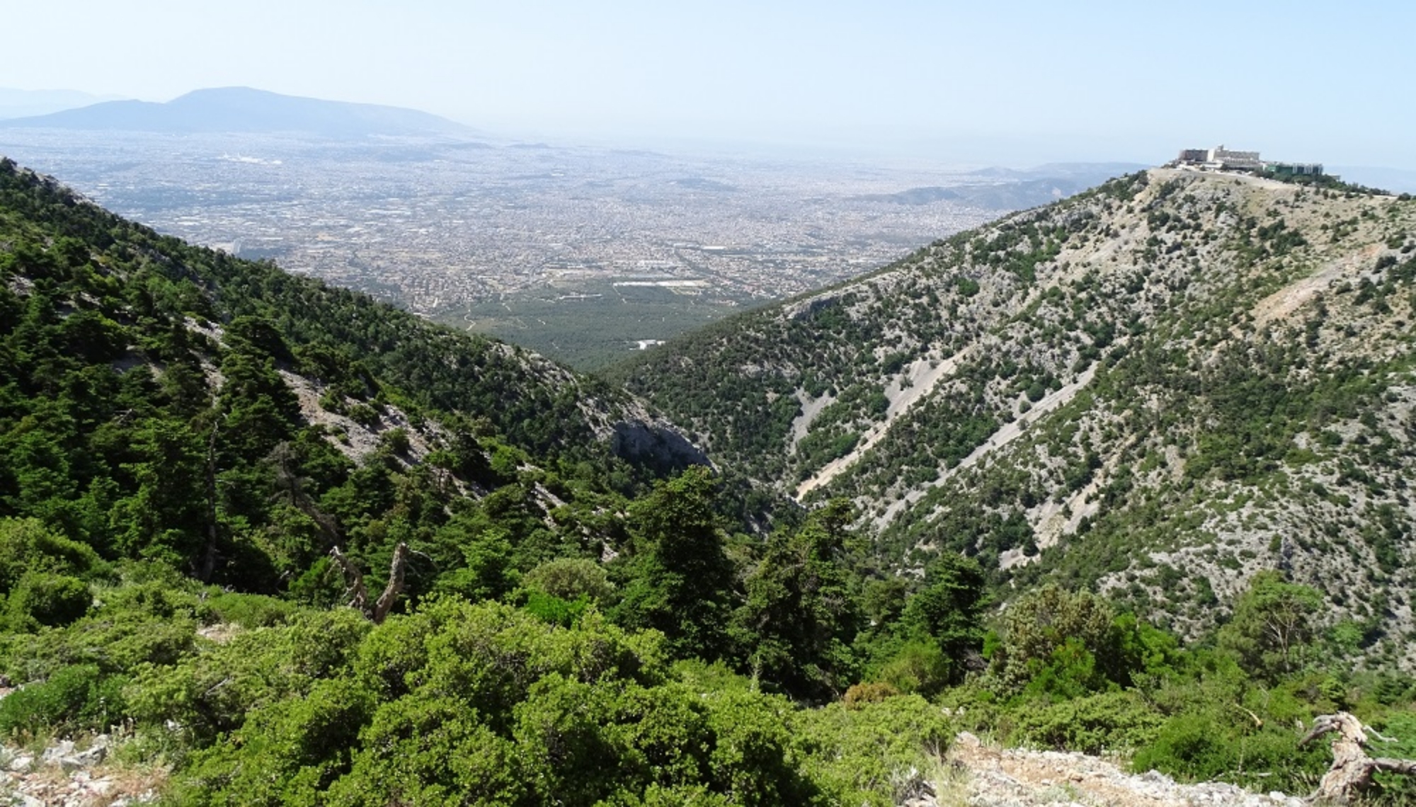 Εξερευνώντας τα μονοπάτια της Ελλάδας: Πεζοπορία στην Πάρνηθα (Pics)