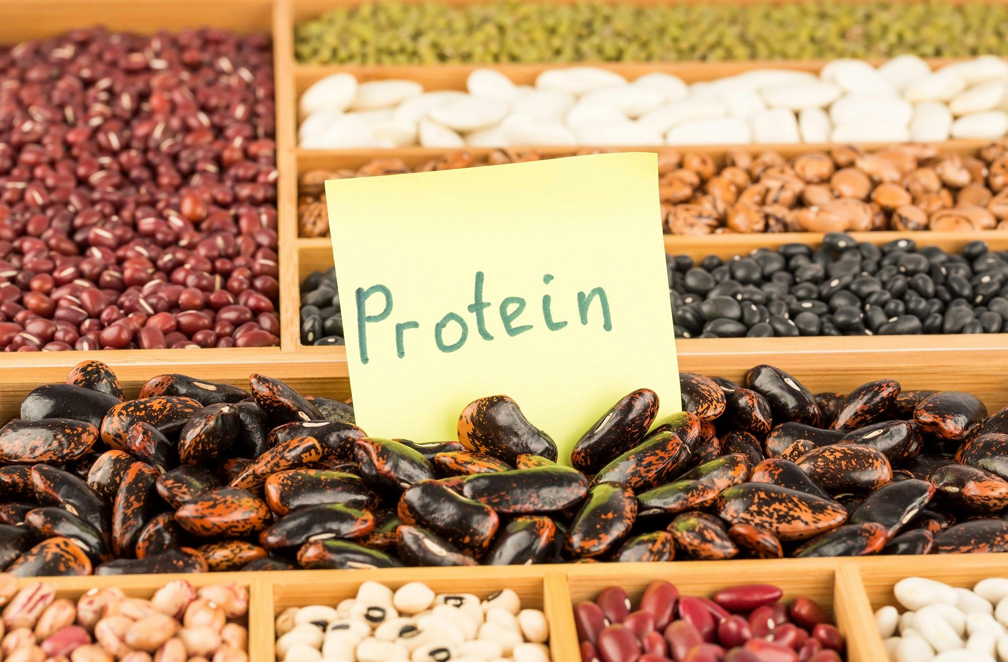 Πόση πρωτεΐνη χρειάζονται οι αθλητές αντοχής; (Μέρος 2ο)