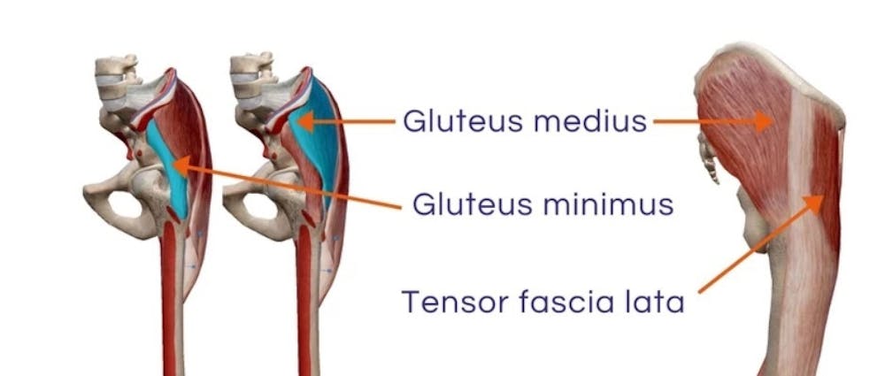 Γιατί είναι σημαντική η εκγύμναση των μυών του ισχίου για τους δρομείς runbeat.gr 