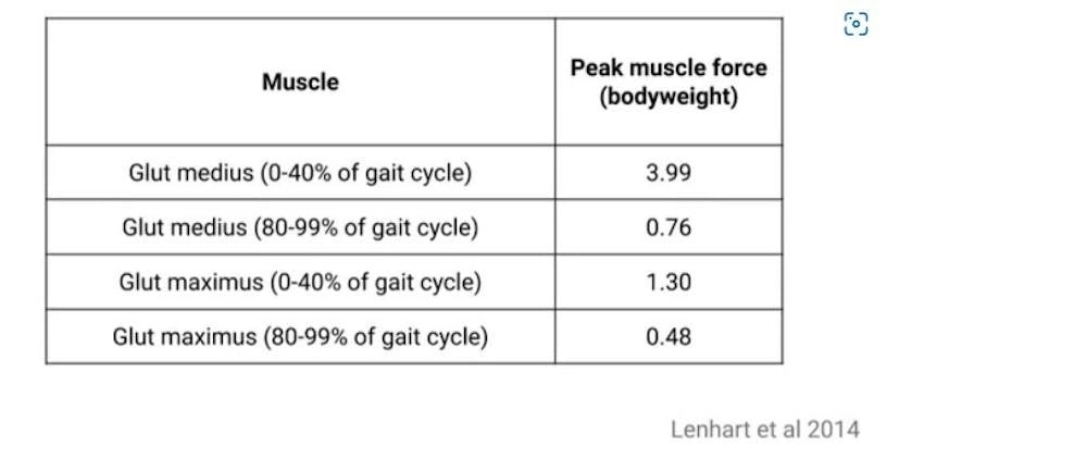 Γιατί είναι σημαντική η εκγύμναση των μυών του ισχίου για τους δρομείς runbeat.gr
