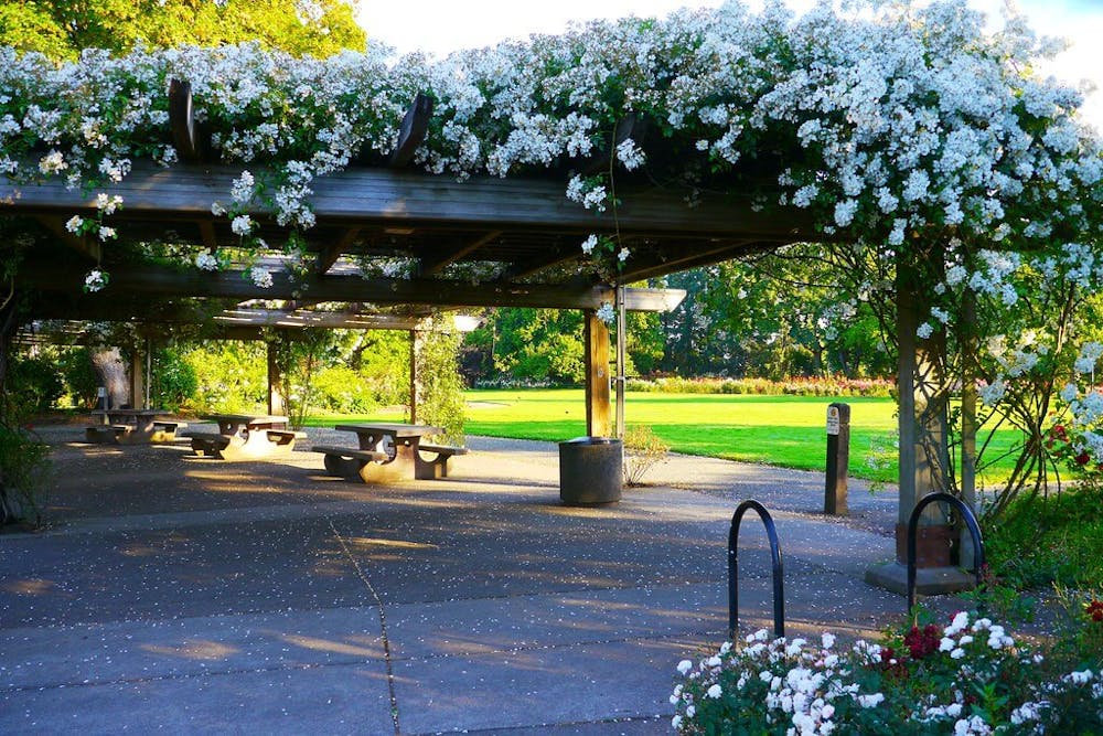 Γιουτζίν: Τα μυστικά της σμαραγδένιας πόλης του Όρεγκον runbeat.gr