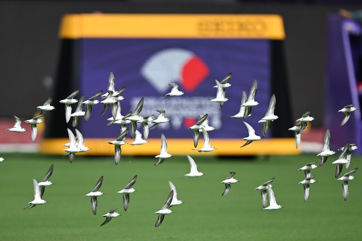 Τόκιο 2025: Ο ΣΕΓΑΣ έδωσε το παρών στο συνέδριο της Παγκόσμιας Ομοσπονδίας