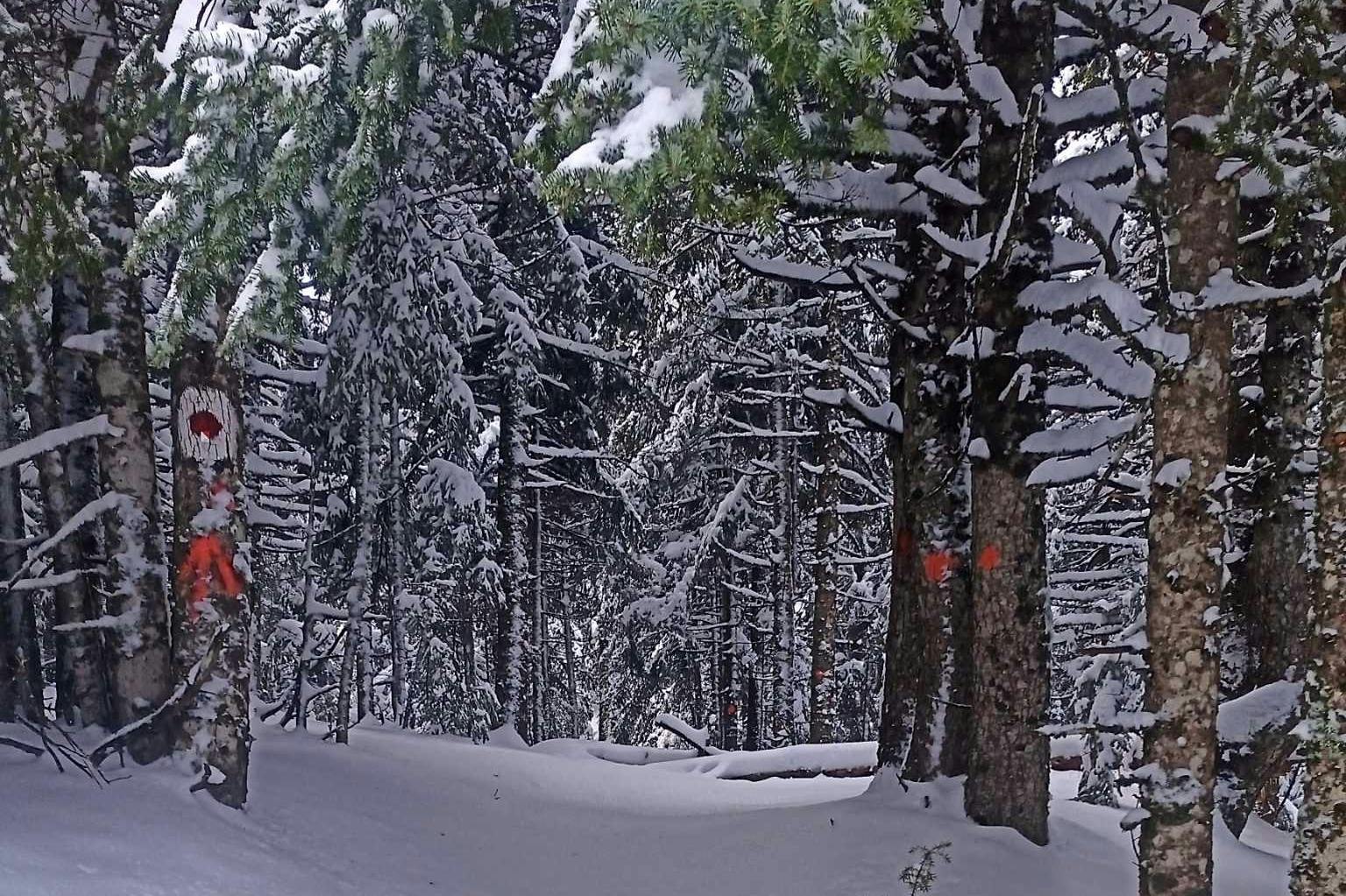 Evritania Snow Trail 2025: Άνοιξαν οι εγγραφές – Όσα πρέπει να γνωρίζετε!