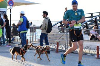 10ος Πράσινος Ημιμαραθώνιος Λευκάδας: Τερμάτισε παρέα με τους σκύλους του! (Pic)