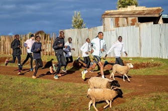 Insight View: Προπόνηση για το γκρουπ Wanders μαζί με… πρόβατα (Pics)