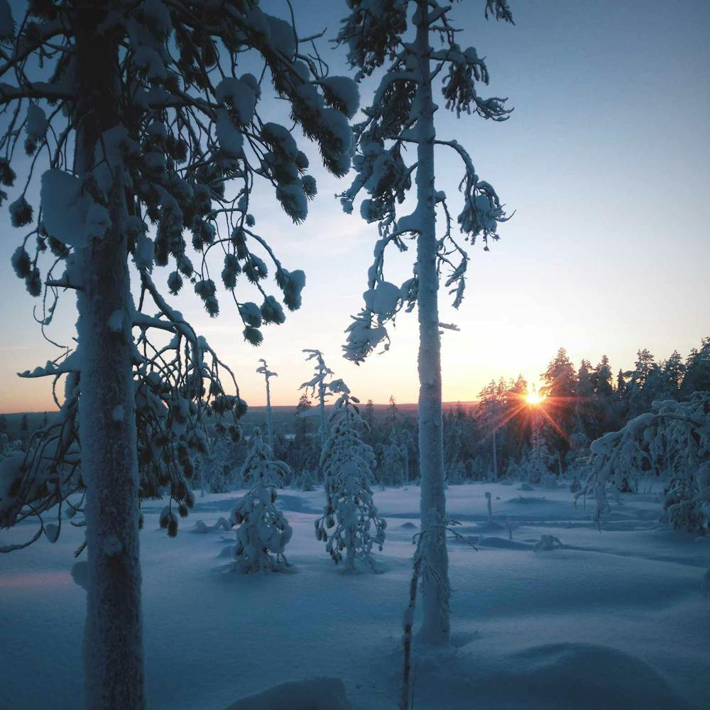 Τρέχοντας δίπλα στους ταράνδους: Ο Έλληνας ultra trail runner που ζει και προπονείται στην Λαπωνία με θερμοκρασίες έως και -30°! runbeat.gr