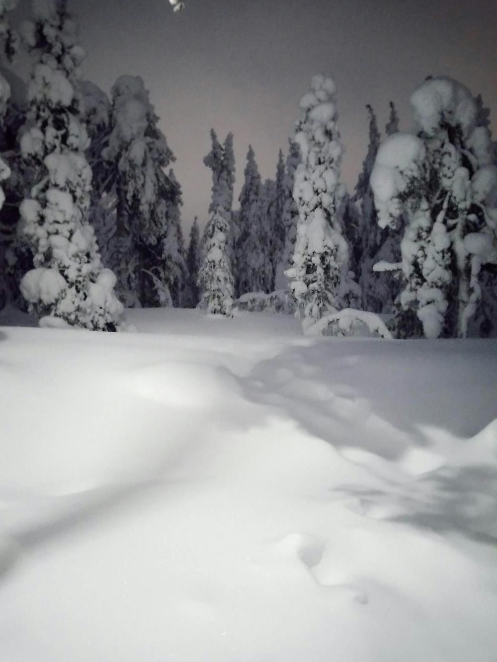 Τρέχοντας δίπλα στους ταράνδους: Ο Έλληνας ultra trail runner που ζει και προπονείται στην Λαπωνία με θερμοκρασίες έως και -30°! runbeat.gr