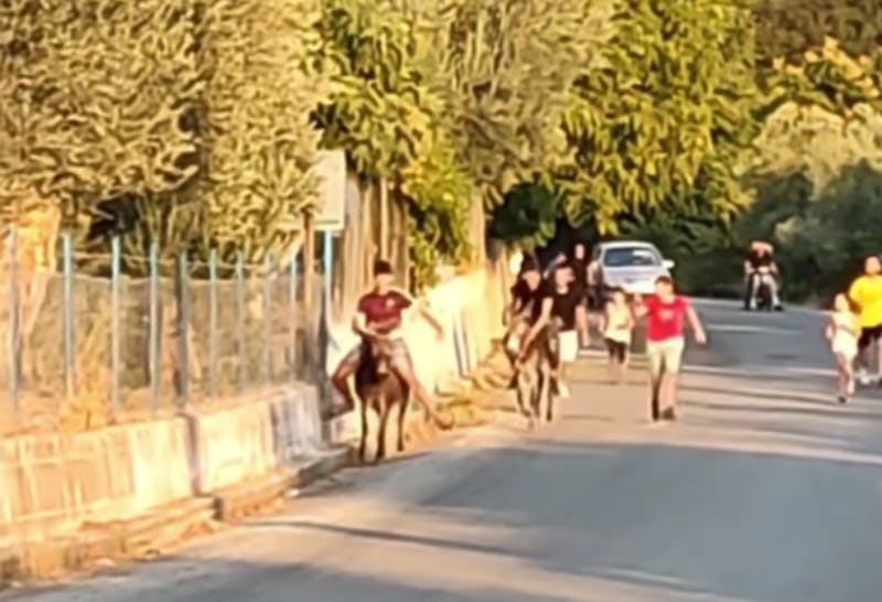 Εικόνες ντροπής στη Μυτιλήνη: Καταγγελία για αγώνες δρόμου γαϊδουριών με ανήλικους αναβάτες! (Vid)