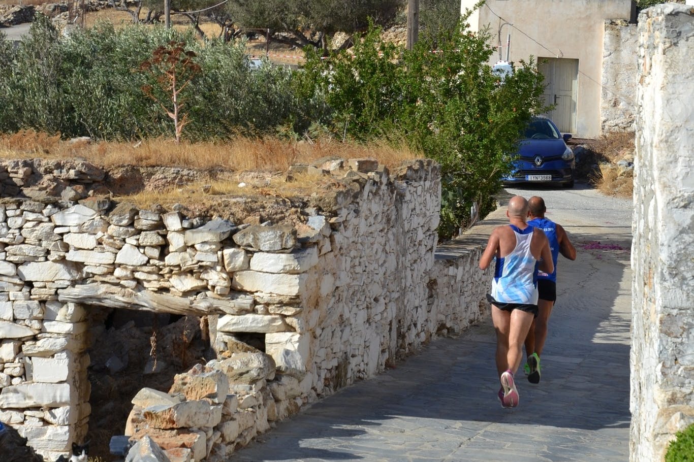 Με επιτυχία για ακόμα μία φορά πραγματοποιήθηκε το «Τρέχω και Ανακαλύπτω την Ηρακλειά»