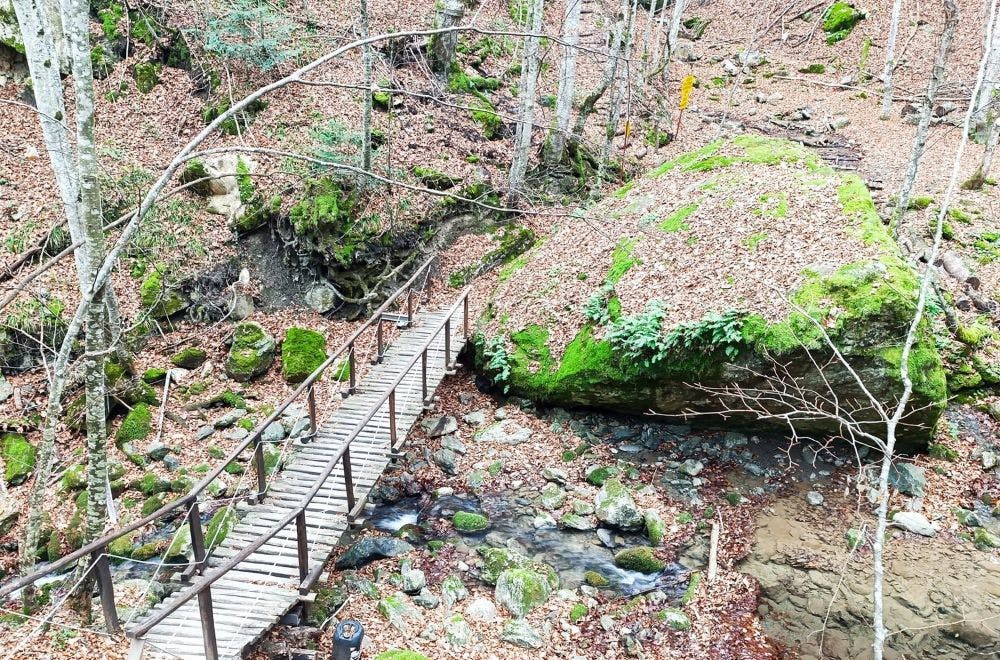 Από τη Νάουσα ξεκινά η αγωνιστική δράση του σαββατοκύριακου