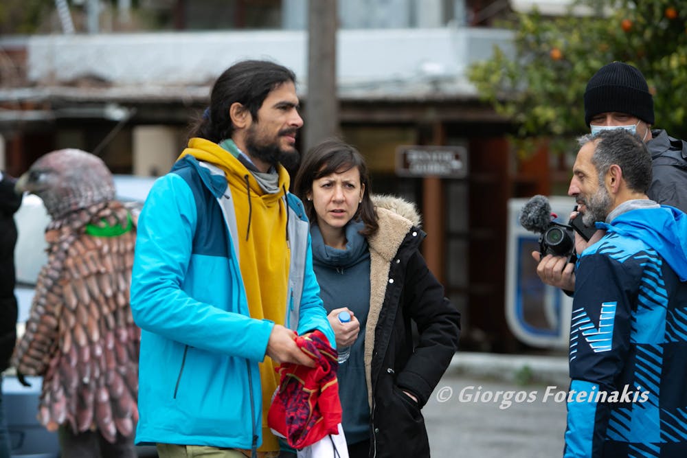 Το φωτογραφικό κολλάζ του 7ου Knossos Run (Pics) runbeat.gr