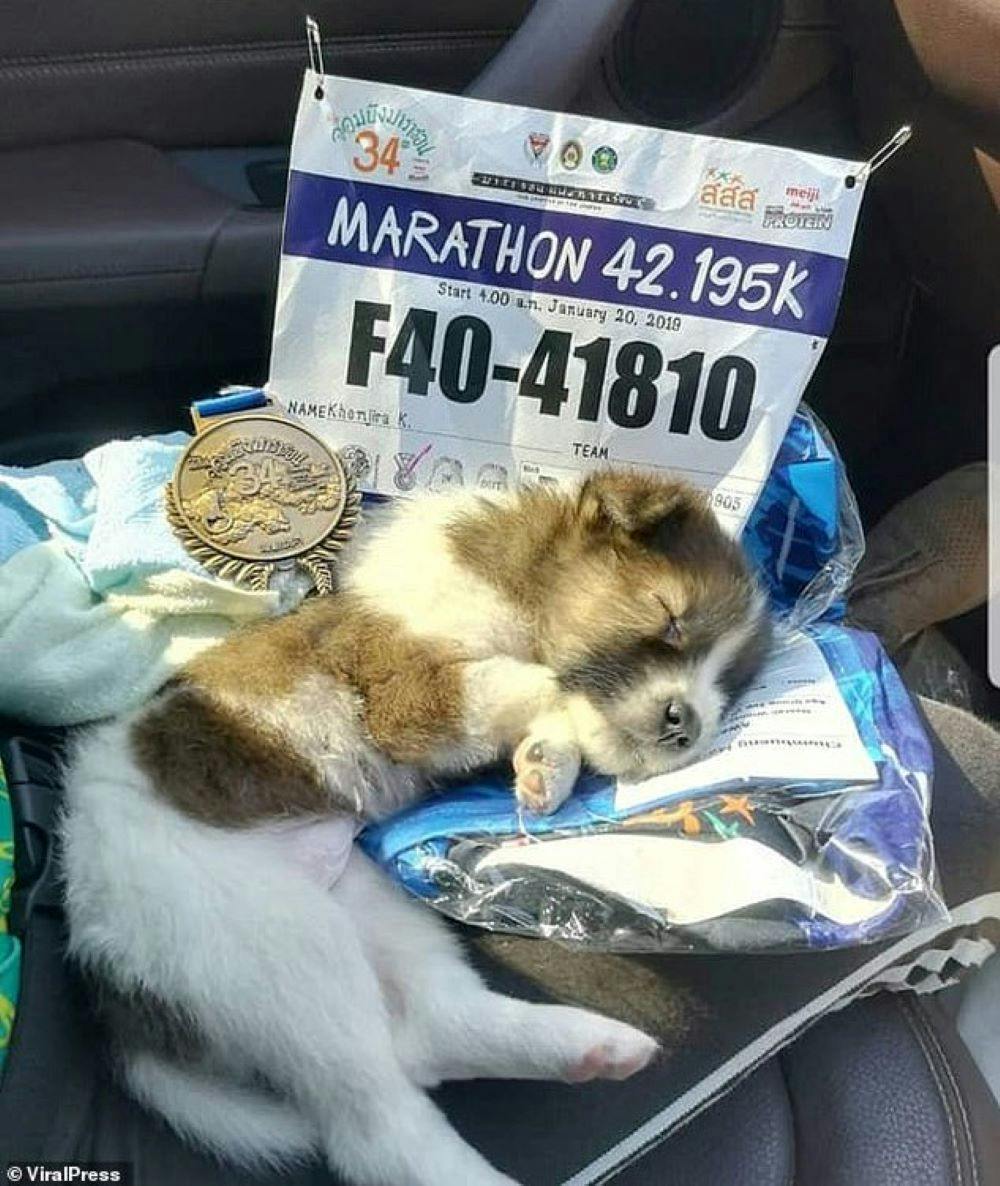 Βρήκε ένα κουτάβι στη διάρκεια μαραθωνίου, το πήρε αγκαλιά και έτρεξε μαζί του 30 χιλιόμετρα! runbeat.gr