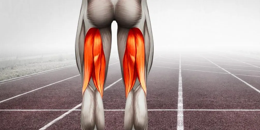 Οπίσθιοι μηριαίοι: Γιατί το 18% των δρομέων τραυματίζεται ξανά μετά την επιστροφή