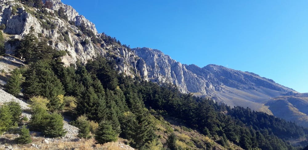 Νότιος Παρνασσός: Μία μοναδική πεζοπορία στην κορυφή «Τσάρκος» (Pics) runbeat.gr