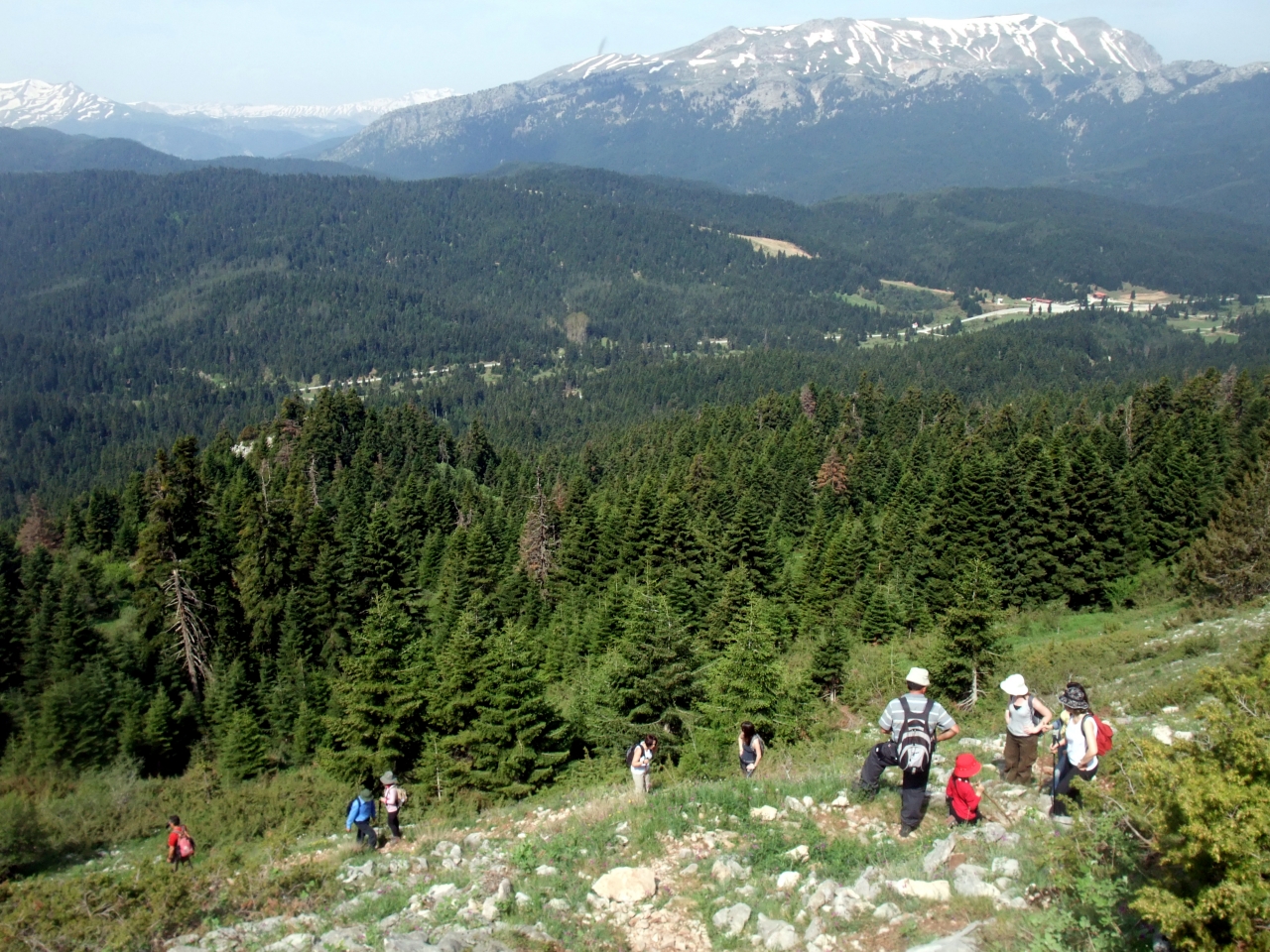 Πεζοπορία στο Νομό Τρικάλων μέχρι την εντυπωσιακή κορυφή του Κόζιακα (Pics)