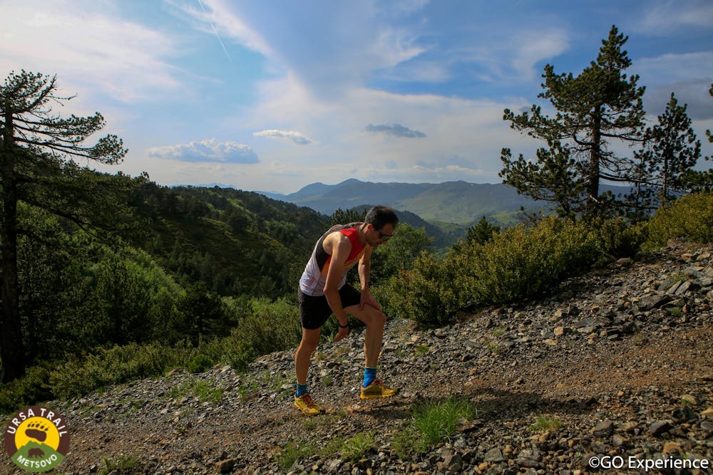 Ursa Trail 2022: Το φωτογραφικό κολλάζ της διοργάνωσης (Pics) runbeat.gr