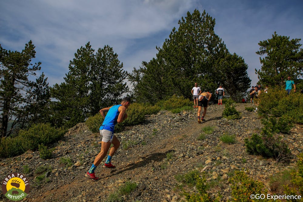 Ursa Trail 2022: Το φωτογραφικό κολλάζ της διοργάνωσης (Pics) runbeat.gr