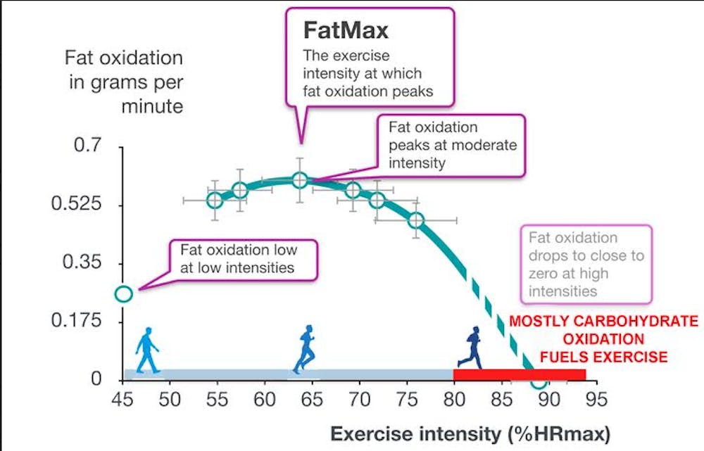 Ημιμαραθώνιος: Χρειάζεστε υδατάνθρακες κατά τη διάρκεια του αγώνα; - Όλες οι απαντήσεις για το πότε και γιατί runbeat.gr
