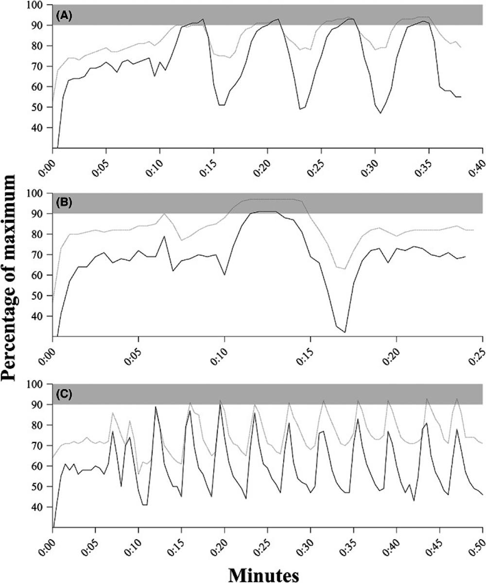 Πως να αυξήσετε τη VO2max: Ποιο τύπο προπόνησης συστήνουν οι επιστήμονες - Όλα τα συγκριτικά στοιχεία runbeat.gr
