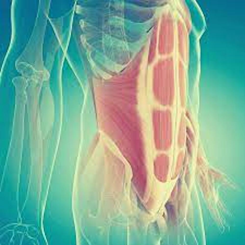 Οι δυνατοί μύες του πυρήνα «κλειδί» για την επιτυχία ενός δρομέα runbeat.gr